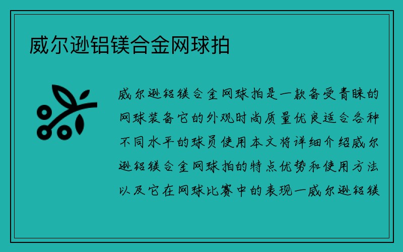 威尔逊铝镁合金网球拍